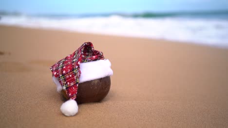 close up of a coconut wearing santa hat on tropical sandy beach with ocean waves rolling against coastline in blurred background