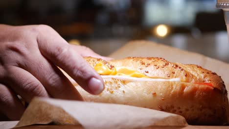 person holding a hot dog sandwich