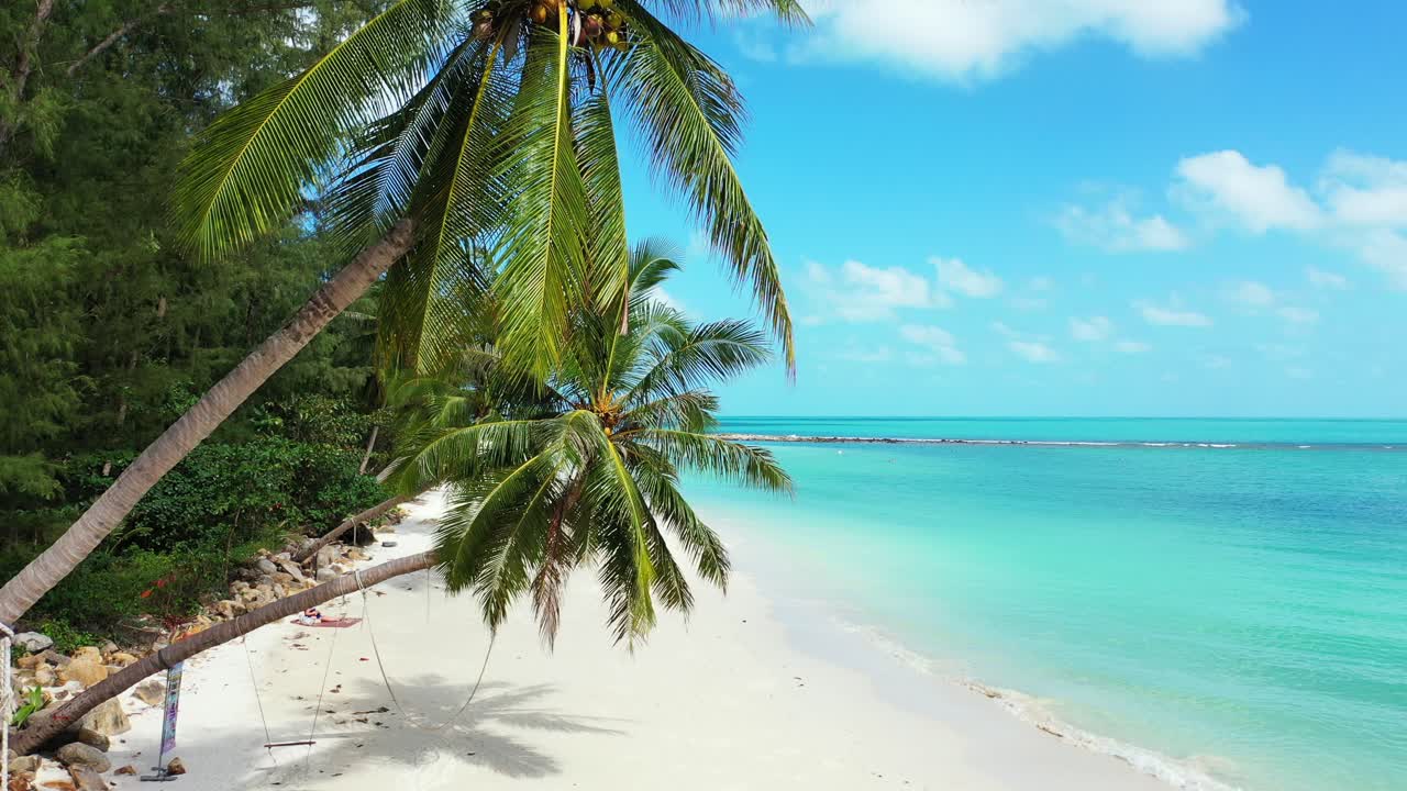 Palmenstamm mit schönen grünen Blättern und Kokosnüssen, die sich über den weißen Sandstrand, die türkisfarbene Lagune und den hellen Himmel mit weißen Wolken auf den Turks- und Caicosinseln neigen