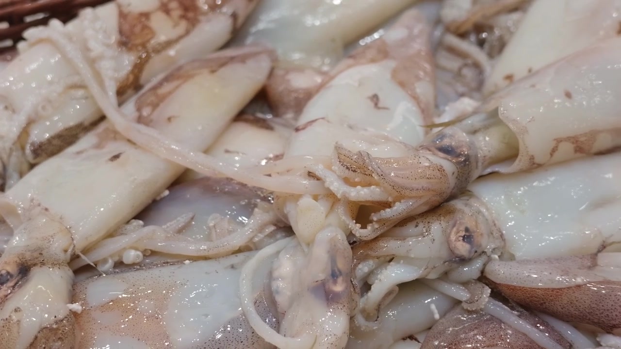Nærbilde av fersk blekksprut med flekkete skinn på is på et sjømatmarked, Côte d'Azur, Frankrike