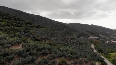 Aerial-downward-flight-over-forest-while-the-car-is-passing-on-ridgeway,-Turkey