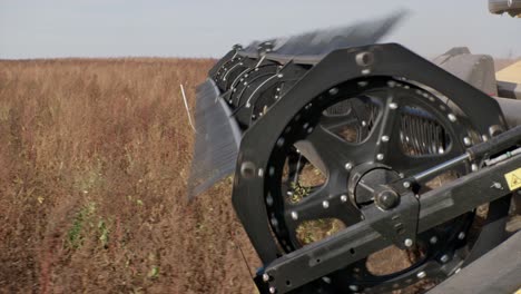 Combine-harvester-harvesting-organic-soybeans-on-sunny-day-slow-motion