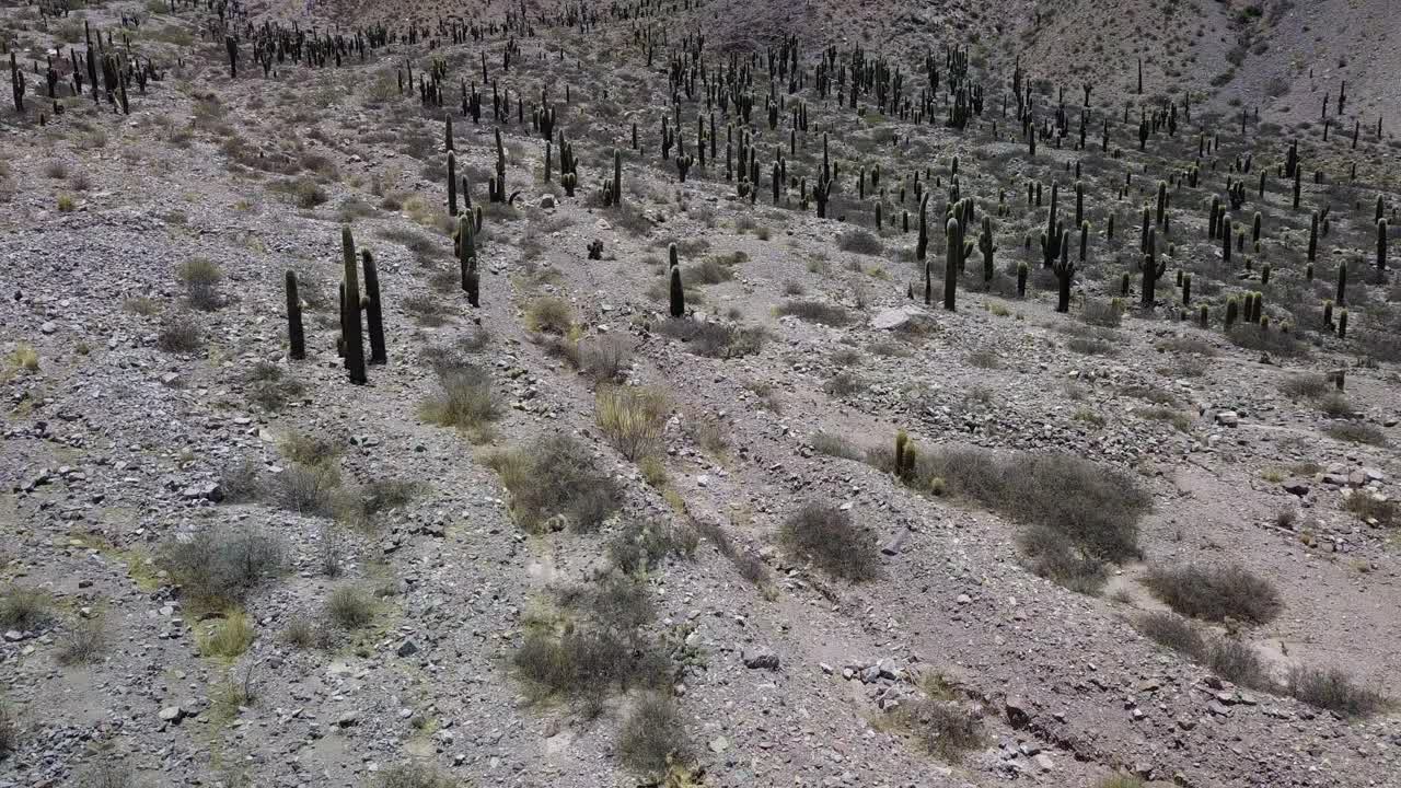 아르헨티나 북서부의 사막 풍경