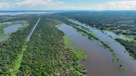 amazon river at amazon forest