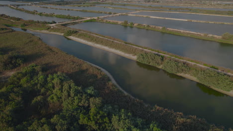 Fish-ponds-of-Maayan-tzvi-fishing-park-near-Maagan-Michael-Israel,-The-fishing-park-is-a-nature-site-for-families-pastime,-a-Sustainable-agriculture-Fish-farm-on-a-Mediterranean-coastline---tilt-up