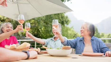 senior diverse group of women enjoying a toast outdoors