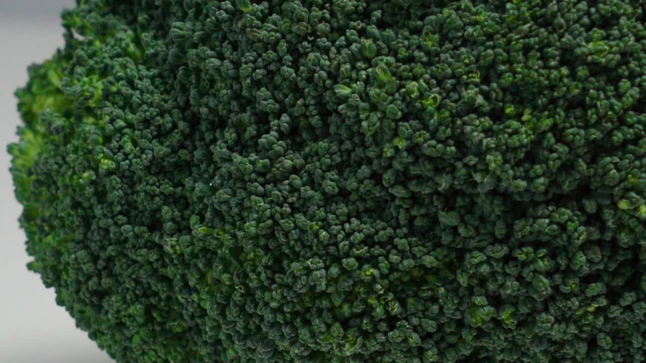 Cabeza de brócoli con macro primer plano extremo paneado a la derecha sobre fondo blanco