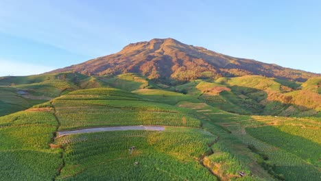 stunning aerial shot of greenery mountain. crop fields stretch across mountain slope, showcasing traditional agriculture in a mountainous region. indonesia rural agricultural field of mount sumbing