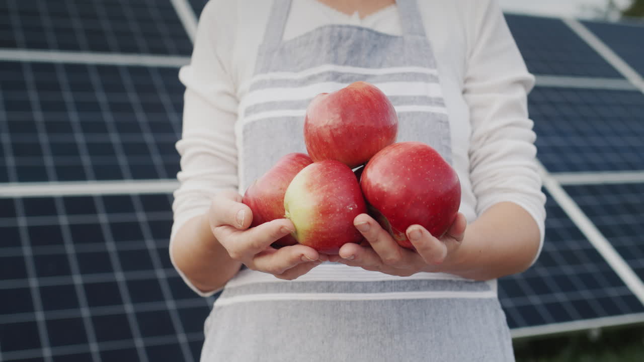 The farmer's hands are holding several ripe apples. Standing against the backdrop of solar panels