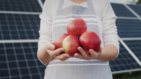 The farmer&#039;s hands are holding several ripe apples. Standing against the backdrop of solar panels
