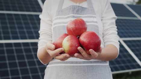 the farmer's hands are holding several ripe apples. standing against the backdrop of solar panels