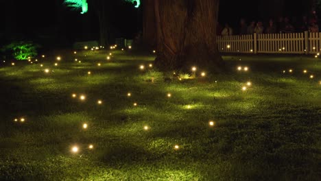 luces parpadeantes bailando sobre un prado verde en el parque pukekura durante el festival de las luces en nueva plymouth, nueva zelanda