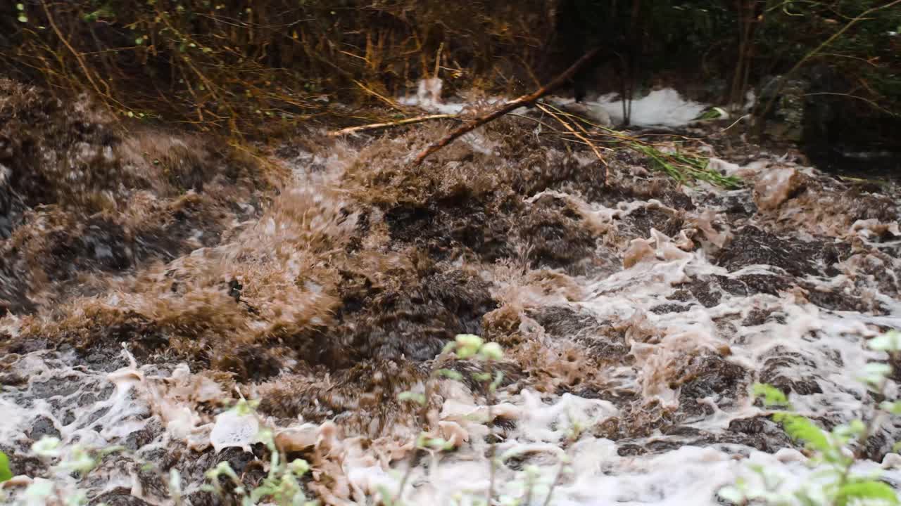 브라운 리버 급류의 빠른 팬 오른쪽