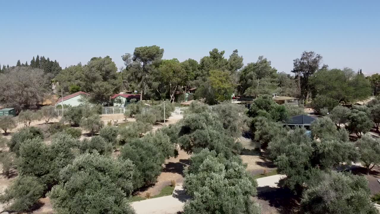 toma aérea de drones del cobertizo ben-gurion - un museo en el kibbutz sde-boker, lleno de árboles, arbustos, senderos y casas