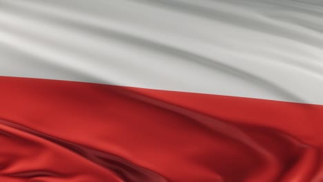 poland flag waving on wind seamles loop 3d animation. 4k resolution
