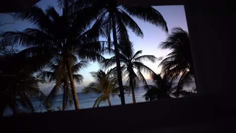 Mirada-Nocturna-Sobre-Las-Palmeras,-La-Puesta-De-Sol-Y-El-Océano-En-Honduras.