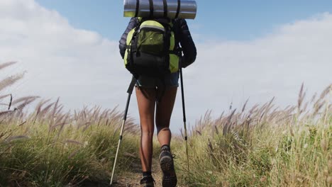 vista trasera de una mujer afroamericana con palos de trekking caminando mientras trekking en las montañas