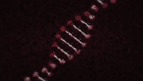 animation of rotating granular 3d model dna strand, on black background