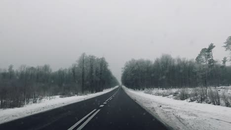 pov vehicle drive countryside winter scenery snow forest bare trees dirty window gopro point of view car travel wet road cloudy sky