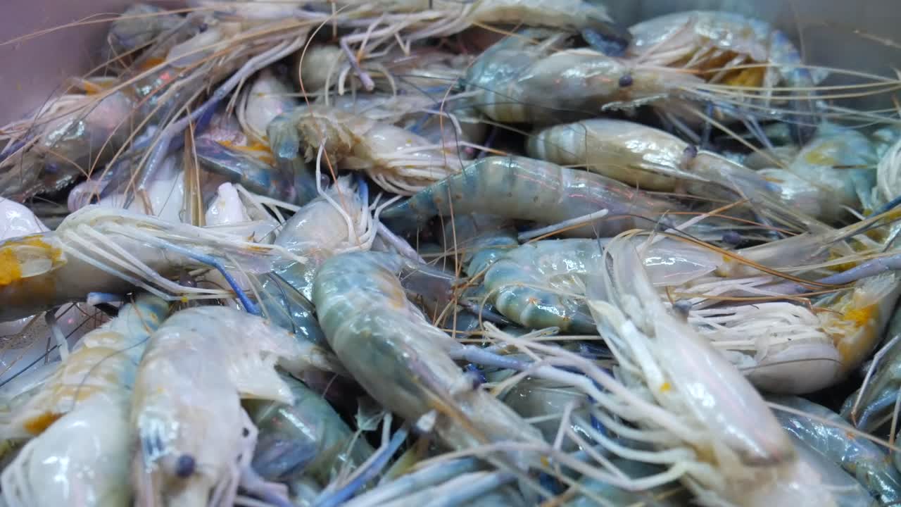 요리 할 준비가 된 달 ⁇  을 가진 푸른 강 새우