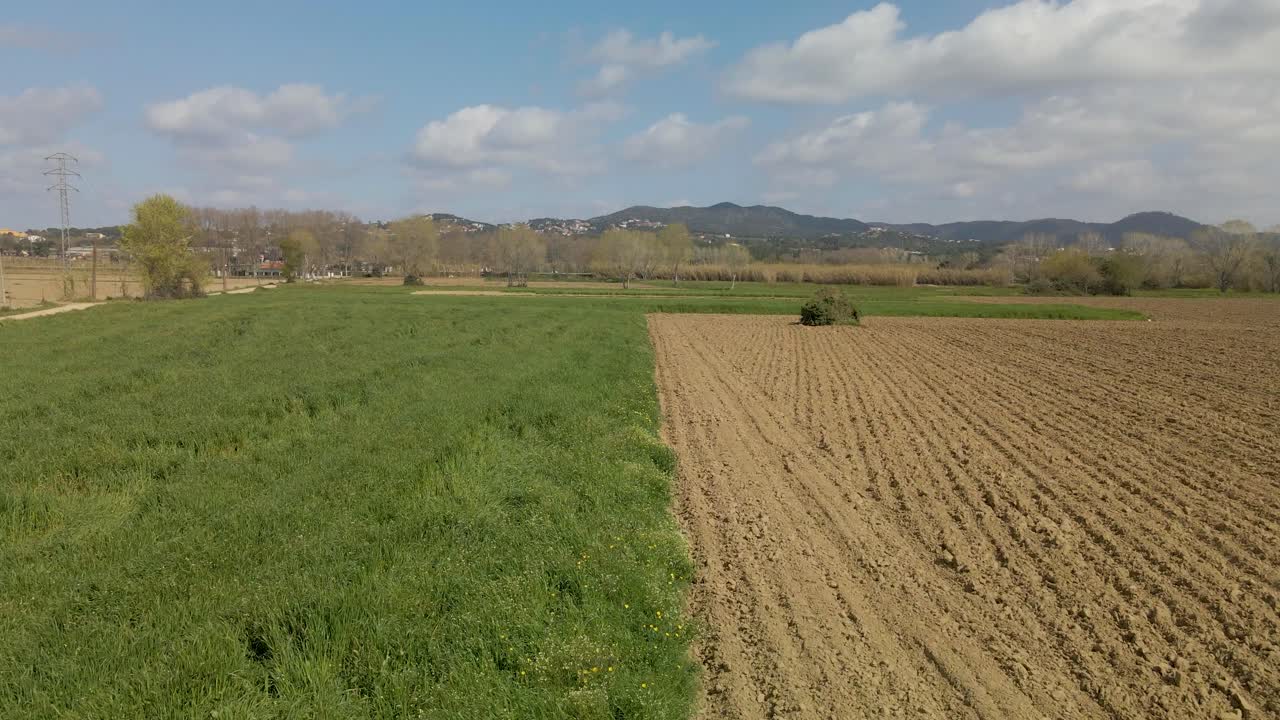 Luftaufnahme: Dollyfahrt nach vorne über Rapsfeld während der Ernte