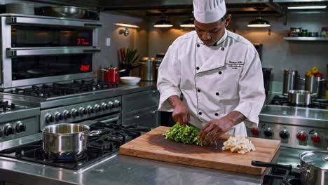 chef preparing food in a professional kitchen