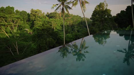 palm trees reflect on the crystal-clear water of infinity pools, surrounded by lush jungle views in ubud, bali, creating a peaceful and serene environment perfect for relaxation and escape.