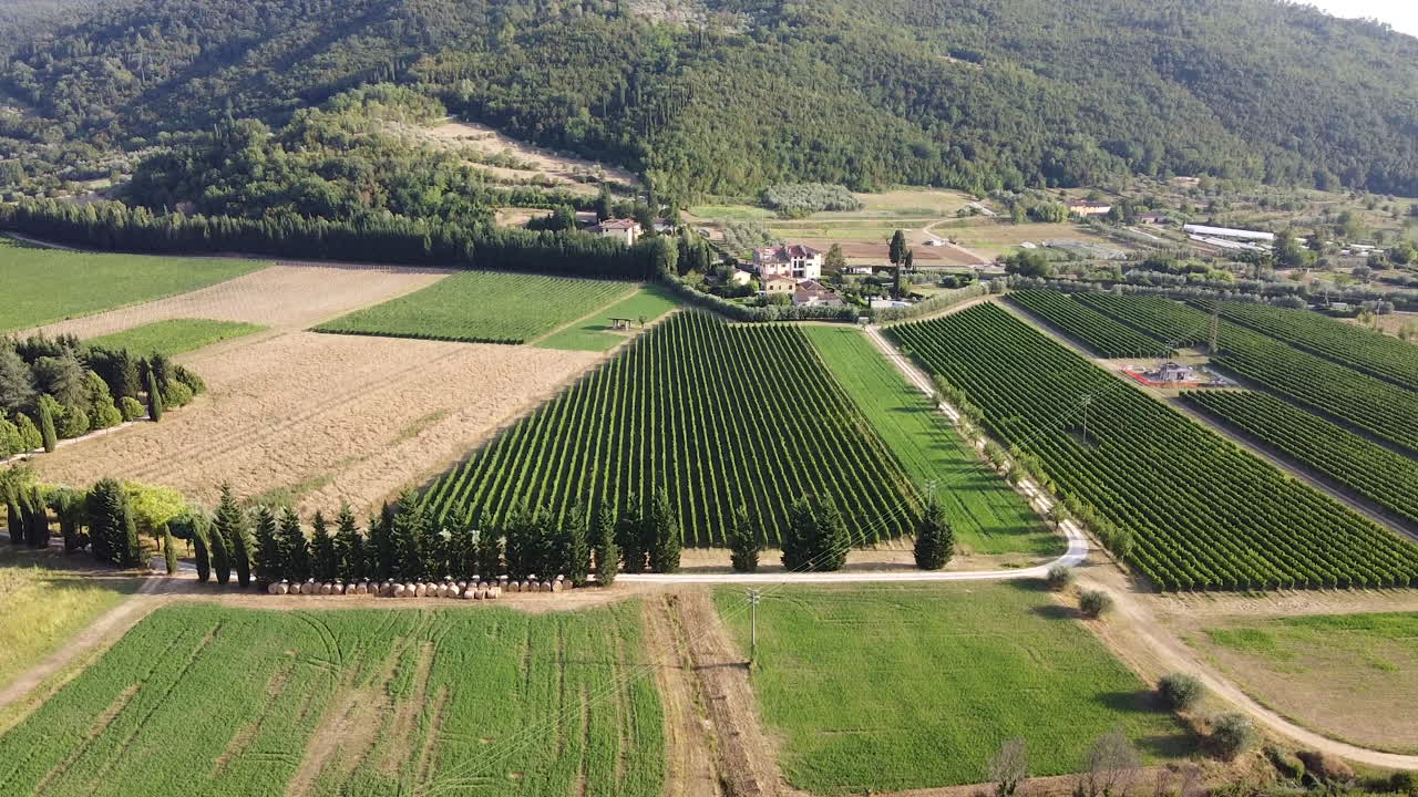 Vista aerea con zoom su un vigneto dalla forma perfetta nella zona del Chianti di Frescobaldi