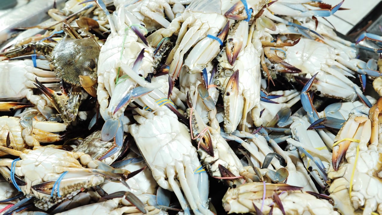 Fresh Portunus Pelagicus Crabs At Local Fish Market In Palawan Philippines