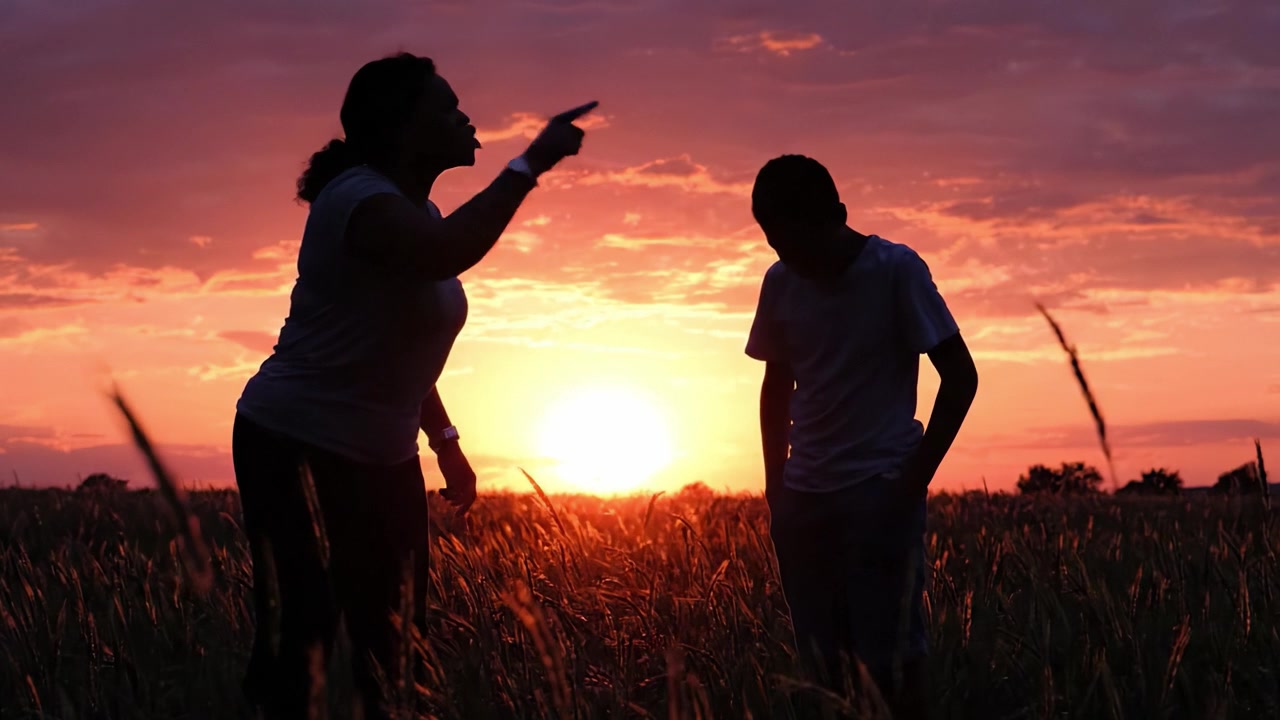 Figure in Silhouette Impegnate in una Conversazione Tesa Contro un Tramonto Vibrante, Evidenziando le Emozioni di Conflitto e Risoluzione in un Ambiente di Campo Aperto