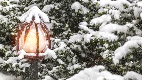 beautiful winter greeting card with with trees cover snow, street light and slow motion snowfall.