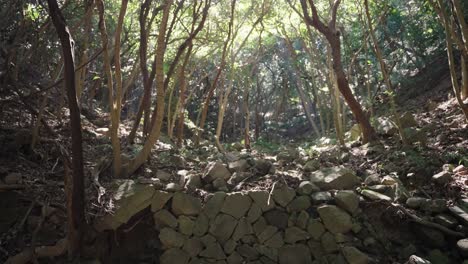 Ruins-of-stone-wall-on-Tomogashima-Island,-Wakayama-Japan