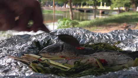 Pescado-Cocido-En-Papel-De-Aluminio-A-La-Orilla-Del-Río