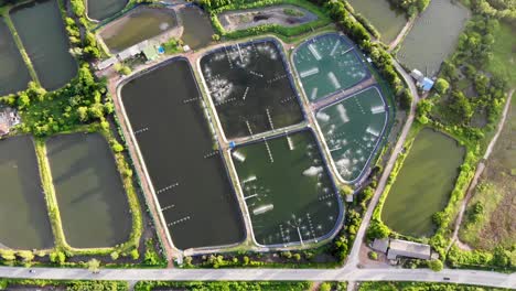 arial view of shrimp farm and fishing farm