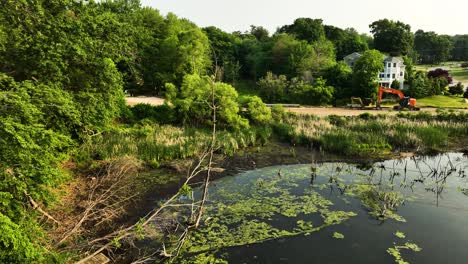 marshy corner of mona lake in norton shores