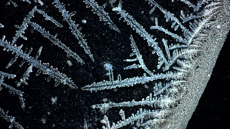 Detailed Frost Patterns on a Dark Surface
