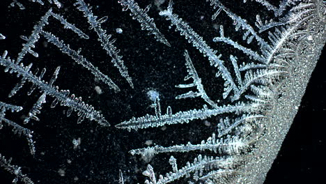 detailed frost patterns on a dark surface