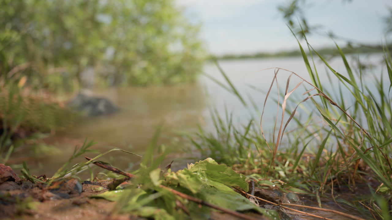Blurry view of large stone partly submerged in river beside sharp foreground of wet soil, green grasses, and fallen leaves, framed by peaceful water, leafy trees, and soft natural daylight