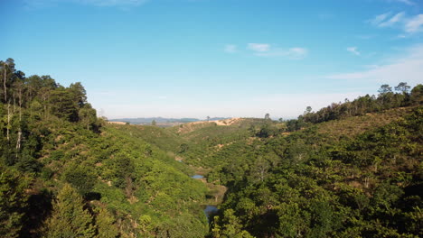 aerial drone forward moving shot over coffee plantation in the valley in tanang, vietnam on a bright sunny morning