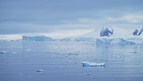 mountains iceberg and winter sea in cold blue landscape scenery, antarctica seascape with ice and glacier in dramatic beautiful coastal scene on coast on antarctic peninsula, moody blue atmosphric