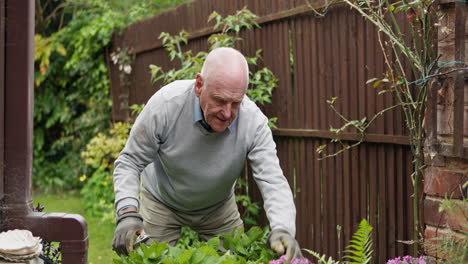 Elderly man gardening in his yard