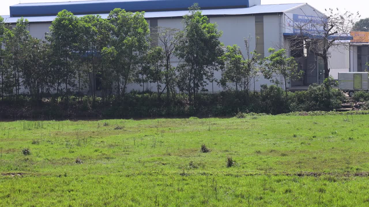 건물은 시간이 지남에 따라 나무 뒤에 서서히 나타납니다.