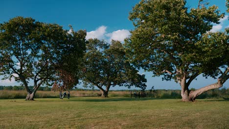 Campo-Con-Cañones-Y-árboles-En-Zona-Histórica-En-El-Estado-De-Virginia