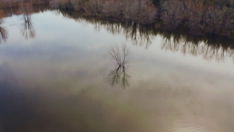 Climate-change-aerial-view-of-a-tree-in-an-overflowing-river