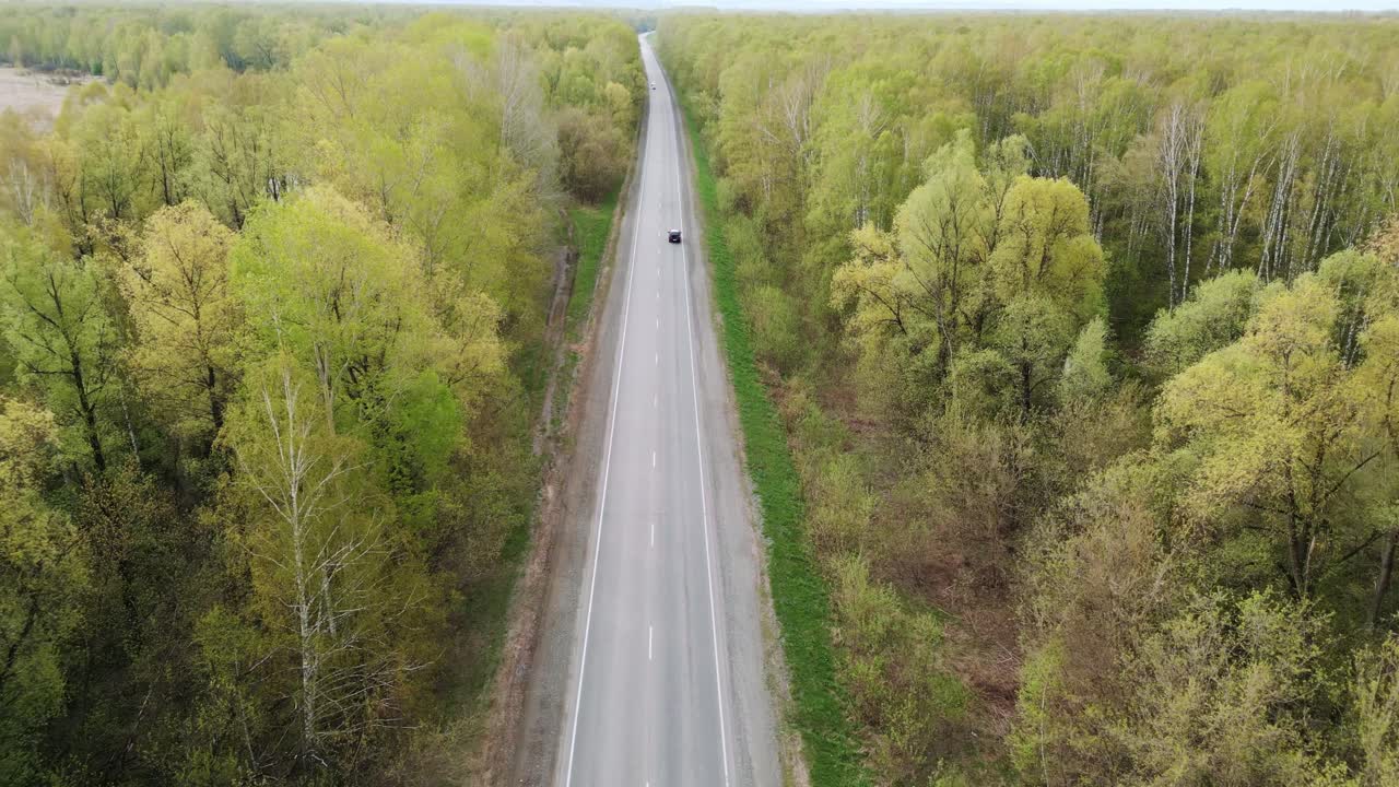 Aerial view follows a lone vehicle down a forest-lined road. Trees display fresh spring greenery, stretching to the horizon. The road recedes into distance, emphasizing solitude and nature's vastness