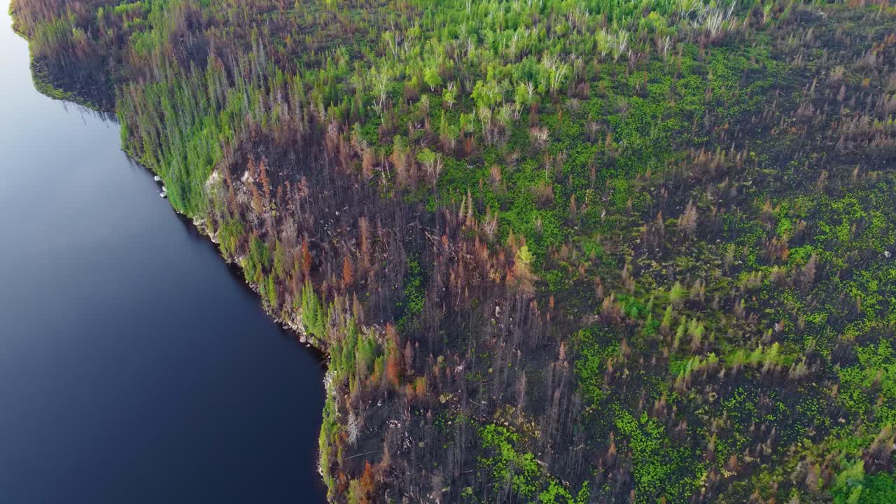 Aftermath of biggest wildfire in the history of Qu&eacute;bec, forest fire season, aerial