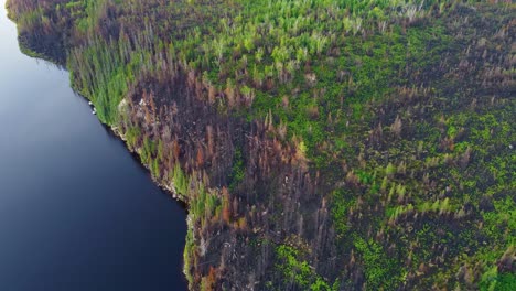 Nachwirkungen-Des-Größten-Waldbrandes-In-Der-Geschichte-Von-Québec,-Waldbrandsaison,-Luftaufnahme