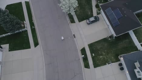 un hombre al anochecer patinando por una calle en una subdivisión de barrio
