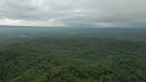 Filmische-Luftaufnahme-Einer-Endlosen-Waldlandschaft-In-Indonesien