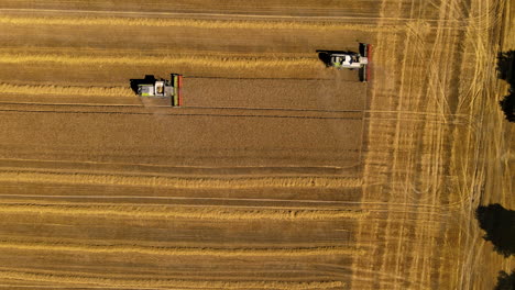 harvesters working together